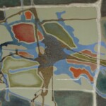 An abstract painting featuring a mix of earthy tones, including green, brown, and red, with white grid-like lines overlaying organic shapes. The composition suggests a map-like structure with fluid, textured elements.